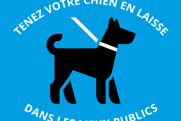 Rappel &#8211; Chiens tenus en laisse dans les lieux publics, Mairie de Mésanger