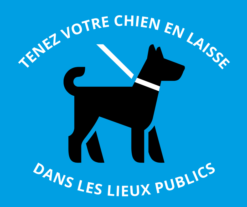 Rappel &#8211; Chiens tenus en laisse dans les lieux publics, Mairie de Mésanger